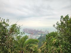 -小南山公园