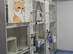 -博特宠物医院24h犬猫全科.骨科·异宠