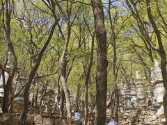 -天津盘山风景名胜区