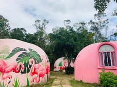 -漳州滨海火山岛自然生态风景区