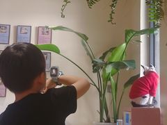 -有猫主题·治愈系猫咖(曾厝垵店)