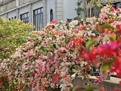 -赤坎·广东华侨国际旅游度假区