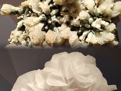 -湖南省地质博物馆