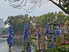 -荔湾湖公园