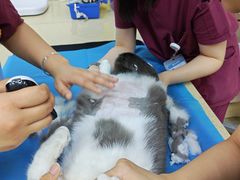 -美联众合动物医院·24h转诊中心