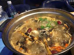 -千岛蚝高压锅生蚝·人参火锅(白云万达店)