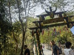 -西双版纳原始森林公园