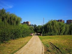 -东坝千亩湖公园