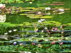 -国家植物园南园