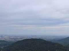 -南京老山国家森林公园