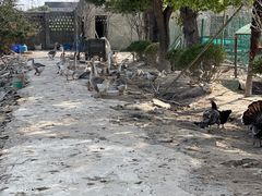 -不觉晓CAMPING(上海迪士尼营地店)