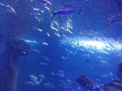 -多彩贵州城极地海洋世界