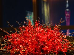 -广州柏悦酒店·悦景轩·粤菜餐厅