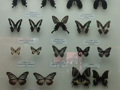 -陕西自然博物馆