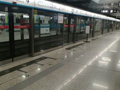 -宋家庄(地铁站)