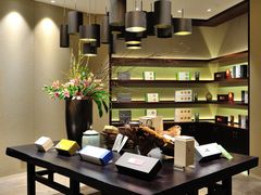 雪芽坊-成都峨眉雪芽大酒店