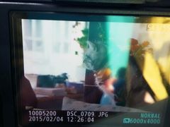 android_upload_pic-海边的猫和咖啡馆