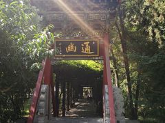 -晋祠公园