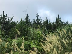 -东白山