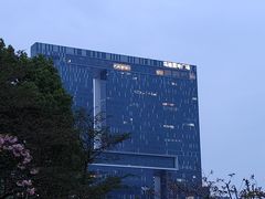 -城市阳台