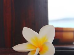 IMG_9830-三亚亚龙湾希尔顿酒店