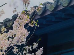 -西湖游船