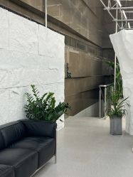 -BOF HAIR BY HONTO