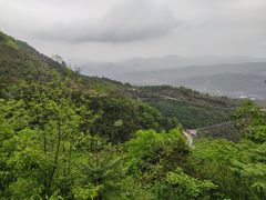 -北仑森林植物园