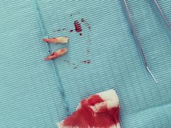 -泰康拜博口腔(世博园乐尔店)