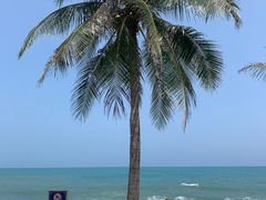 -三亚南山文化旅游区