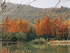 -八卦田遗址公园