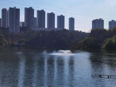 -重庆彩云湖湿地公园