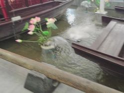 点击看大图 -特味村·宴会厅(生态园店)