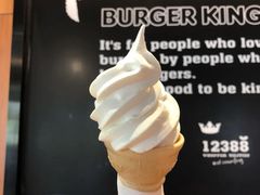 -汉堡王(嘉定宝龙城市广场)