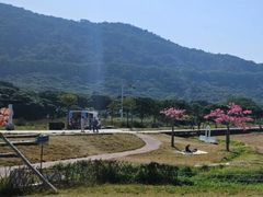 -艾米稻香小镇