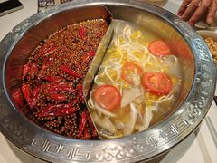 -朱氏胖子烂火锅(洪崖洞店)