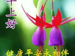 -美味居(古城店)