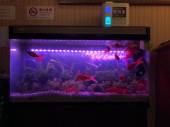 -智慧盲人按摩艾灸-颈肩腰膝疼痛调理(浦东店)