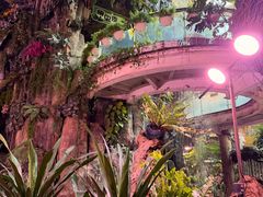 -正佳雨林生态植物园