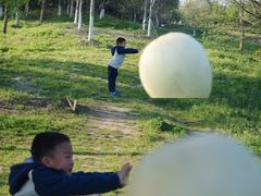 -昆山城市生态森林公园