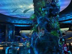 -陕西自然博物馆