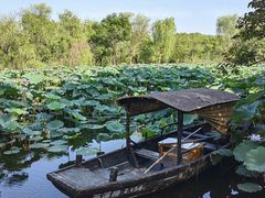 -西溪国家湿地公园