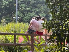 -成都市活水公园