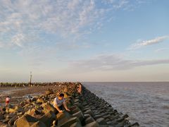 -南汇嘴观海公园