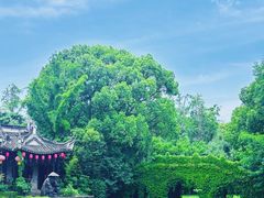 -韩湘水博园