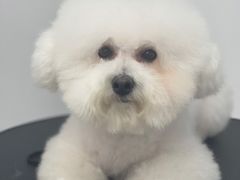 -comecome来吧宠物(奥克斯中心店)