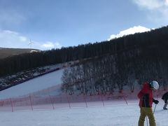 -多乐美地滑雪场