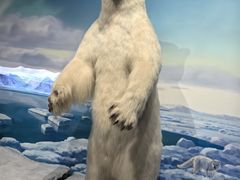 -陕西自然博物馆