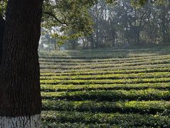 -敬亭山风景名胜区
