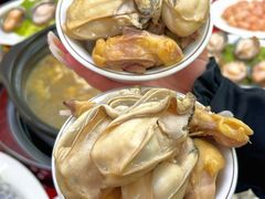 -花苑美食横琴生蚝火锅(拱北粤华路店)